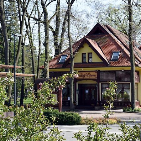 Villa Hotel Ντέμπρετσεν Εξωτερικό φωτογραφία