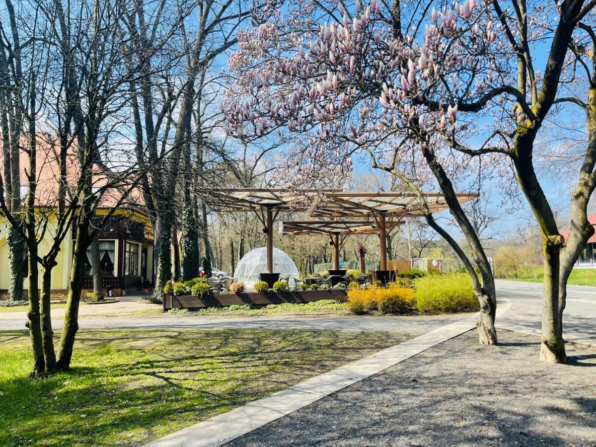 Villa Hotel Ντέμπρετσεν Εξωτερικό φωτογραφία