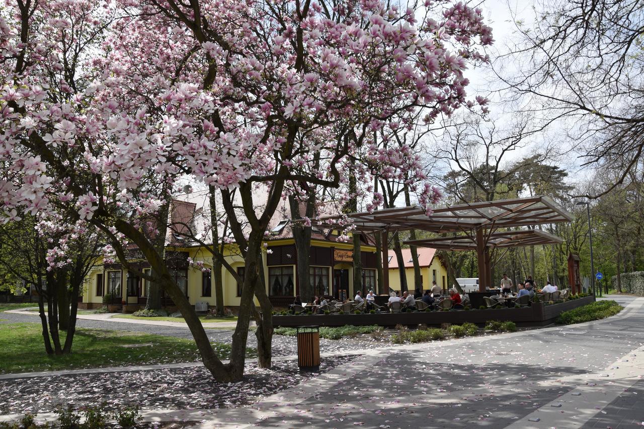 Villa Hotel Ντέμπρετσεν Εξωτερικό φωτογραφία